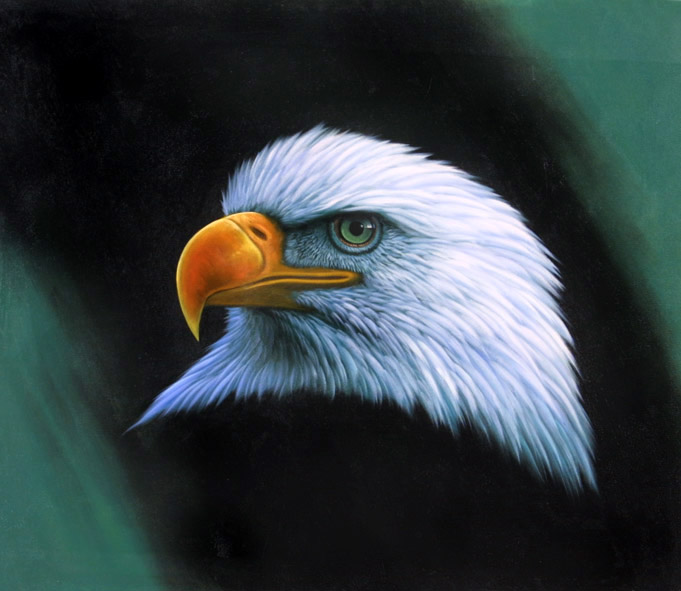 Eagle Portrait