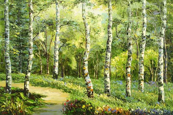 Silver Birches