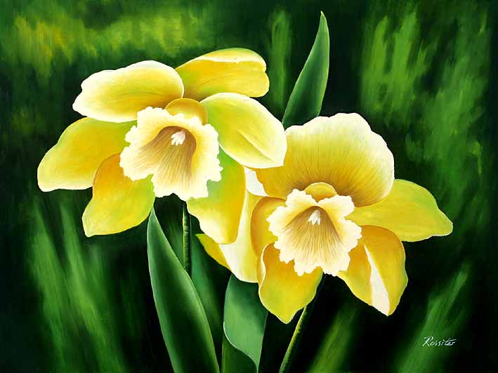 Flores em Detalhe