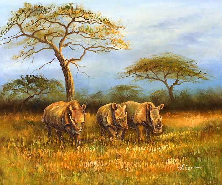 A Crash of Rhinos