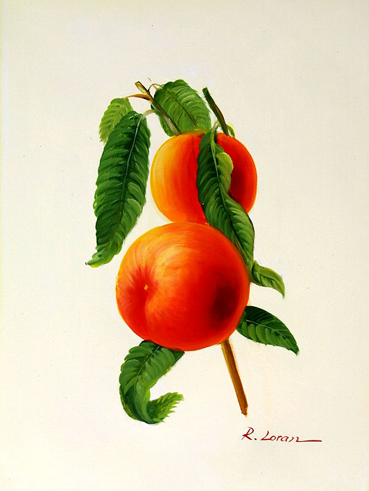 Peaches
