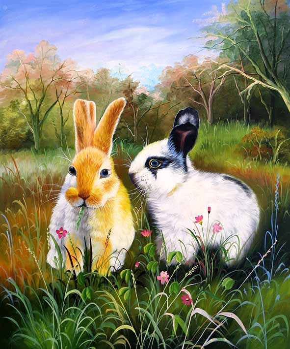 Rabbits In The Field