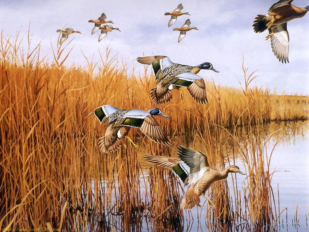 Birds oil painting