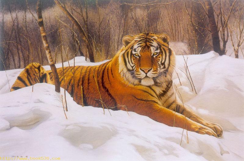 Tiger oil painting