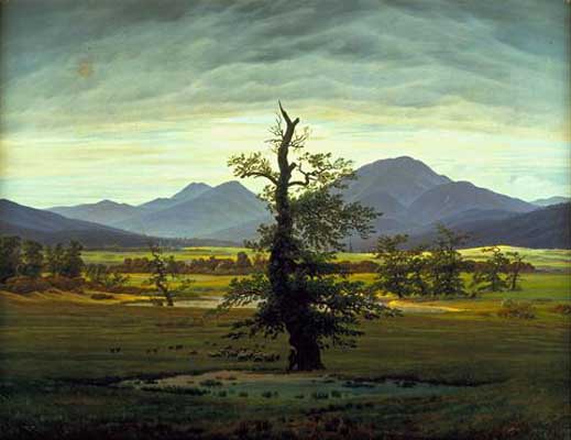 Caspar David Friedrich Solitary Tree