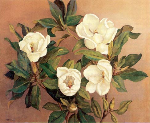 Florence McClung Magnolias