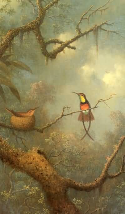 Martin Johnson Heade Orchid with Two Hummingbirds
