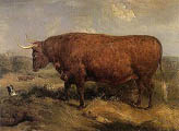 Sir Edwin Henry Landseer A North Devon Ox