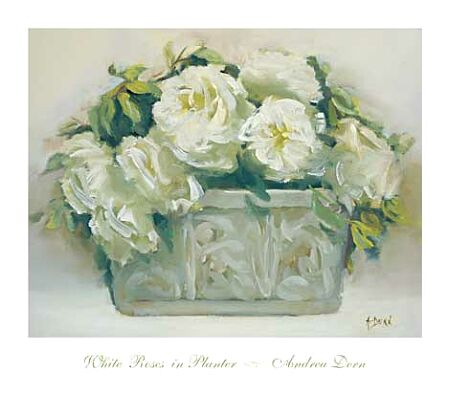 Dern Andrea White Roses in Planter
