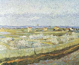 Orchard - Vincent Van Gogh