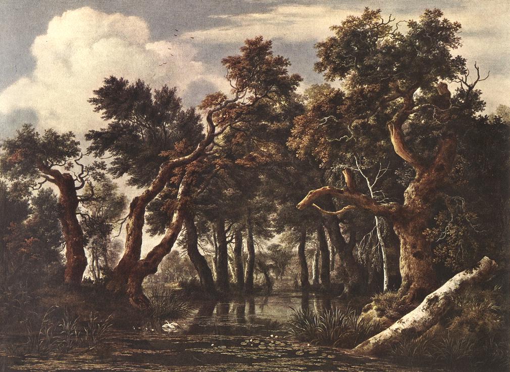 RUISDAEL Jacob Isaackszon van The Marsh in a Forest