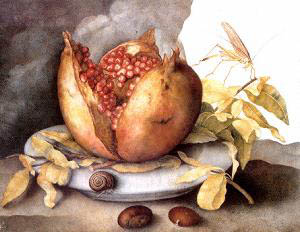 Giovanna Garzoni Still Life with Open Pomegranate