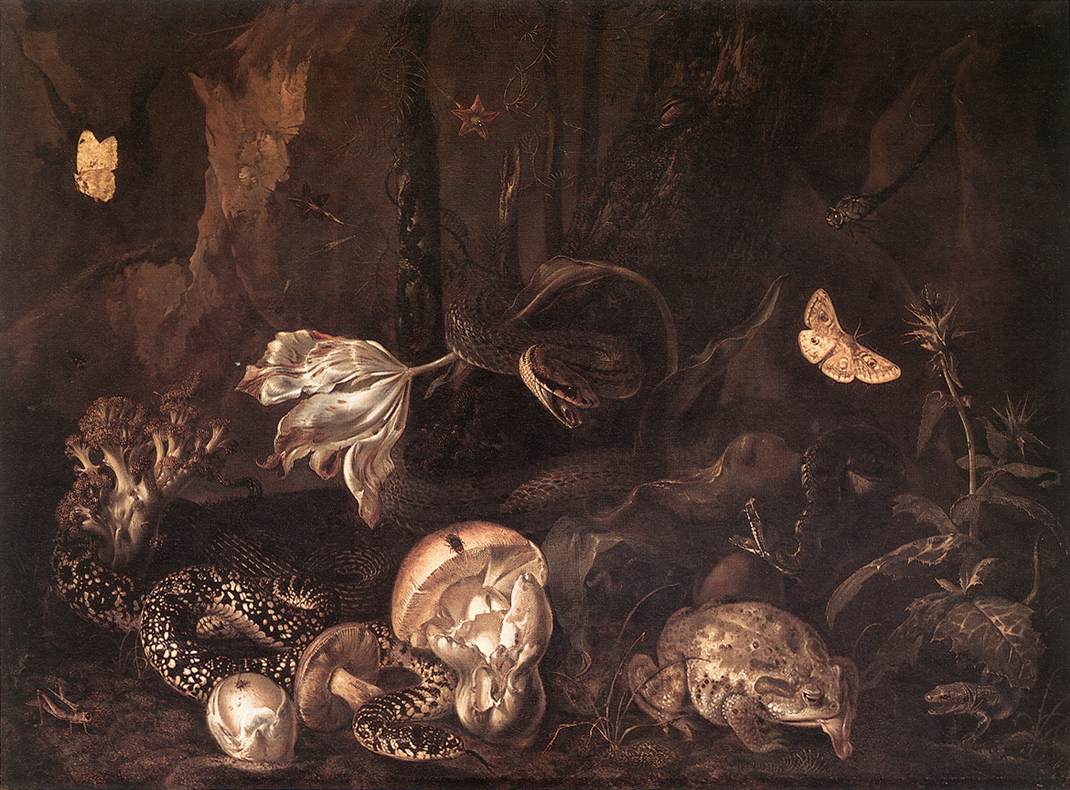 SCHRIECK Otto Marseus van Still Life with Insects and Amphibians