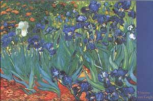 Irises - Vincent Van Gogh