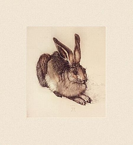 Duerer Albrecht Hase 1502