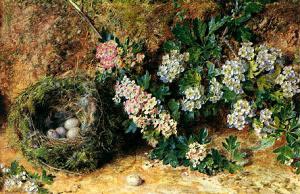 William Henry Hunt Chaffinch Nest and May Blossom