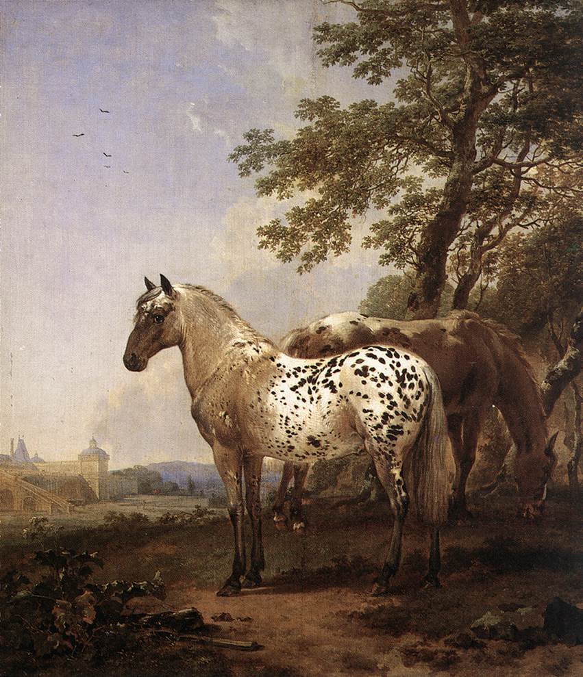 BERCHEM Nicolaes Landscape with Two Horses