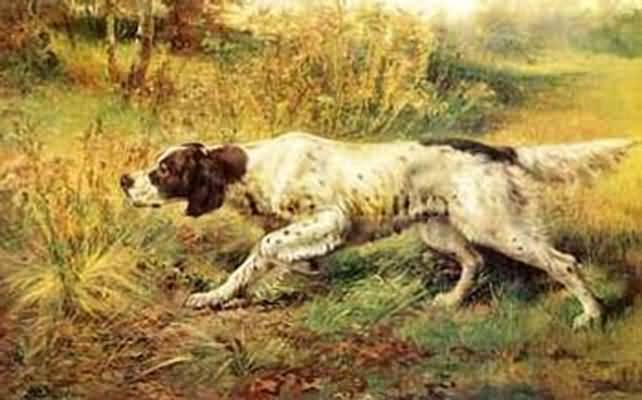 Edmund Henry Osthaus English Setter Pointing