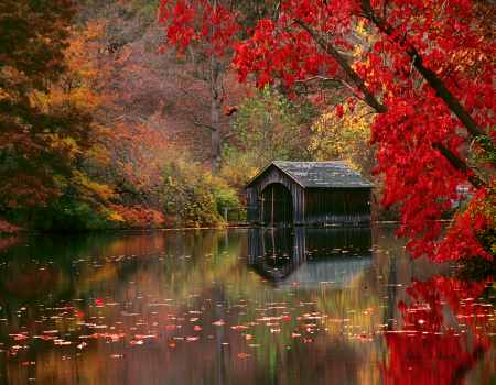 Autumn in Asheville, North Carolina (detail)