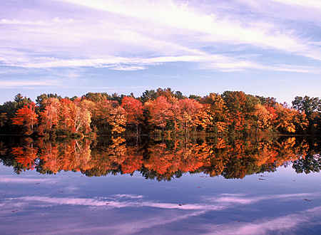 Autumn on the River