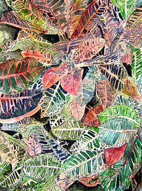 Croton Tropical Plant Art