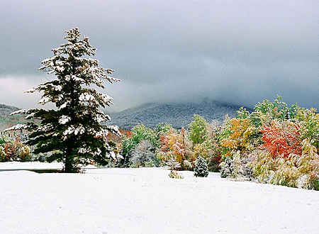 Early Snow