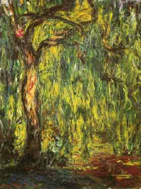 Landscape, Weeping Willow