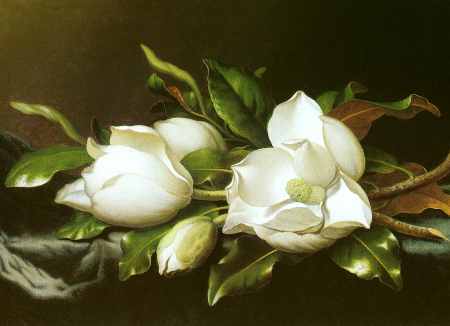 Magnolias (detail)