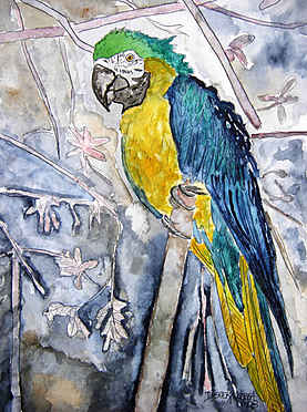 Parrot Bird Painting