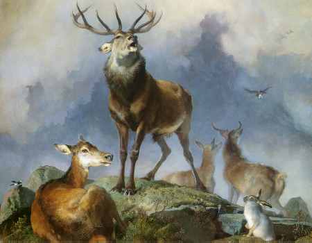 Scene in Braemar, Highland Deer (detail)