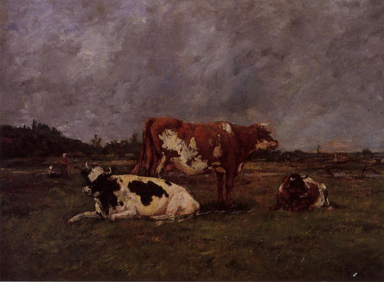 Cows in Pasture 1