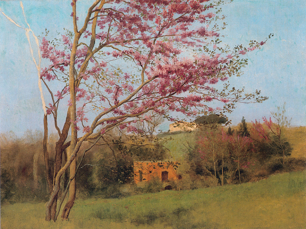 Landscape - Blossoming Red Almond