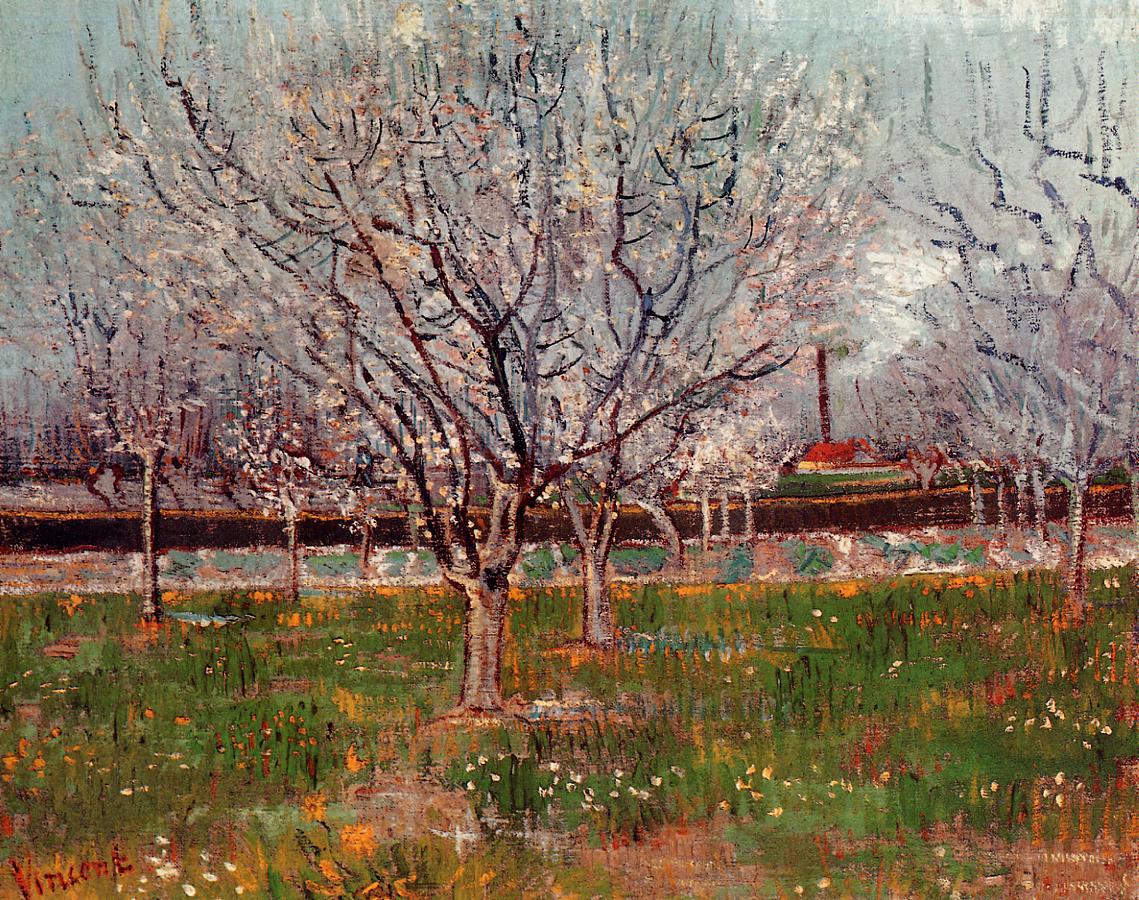 Orchard in Blossom 3