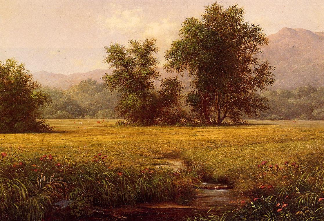 The Meadow