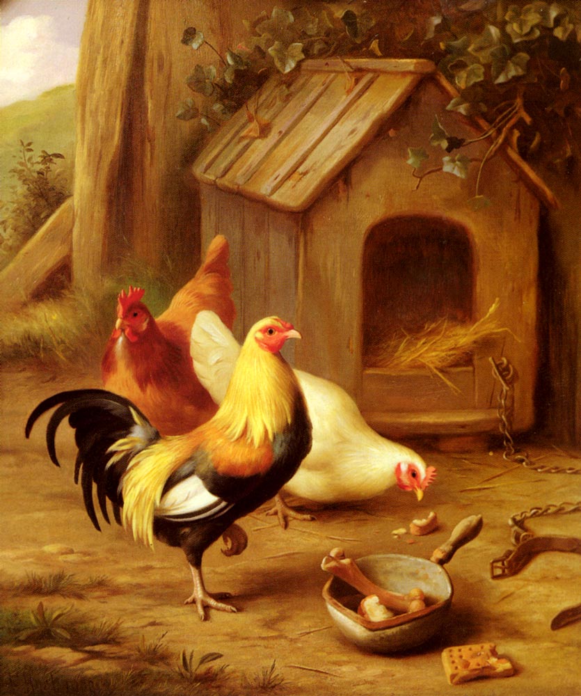 Chickens Feeding