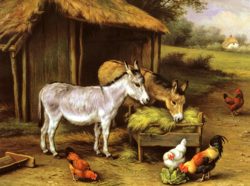 Chickens and Donkeys feeding outside a Barn