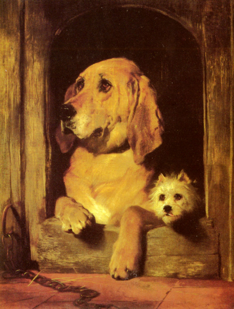 Dignity and Impudence