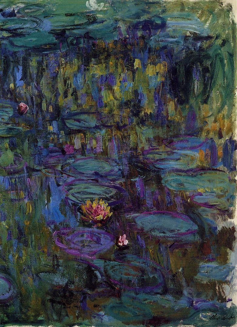 Water-Lilies 48