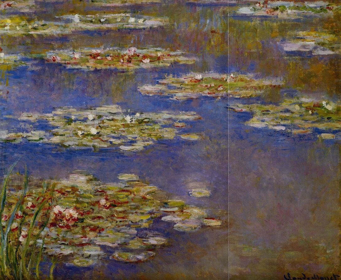 Water-Lilies 6
