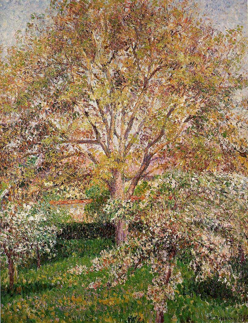 Walnut and Apple Trees in Bloom, Eragny