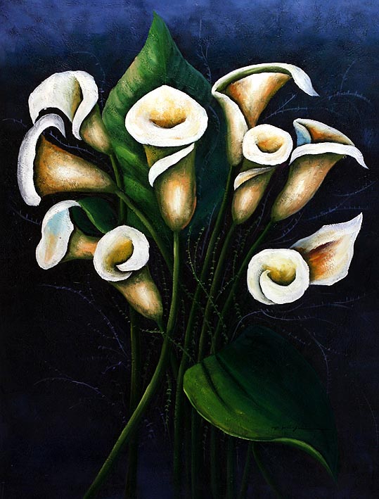 Calla Lilie