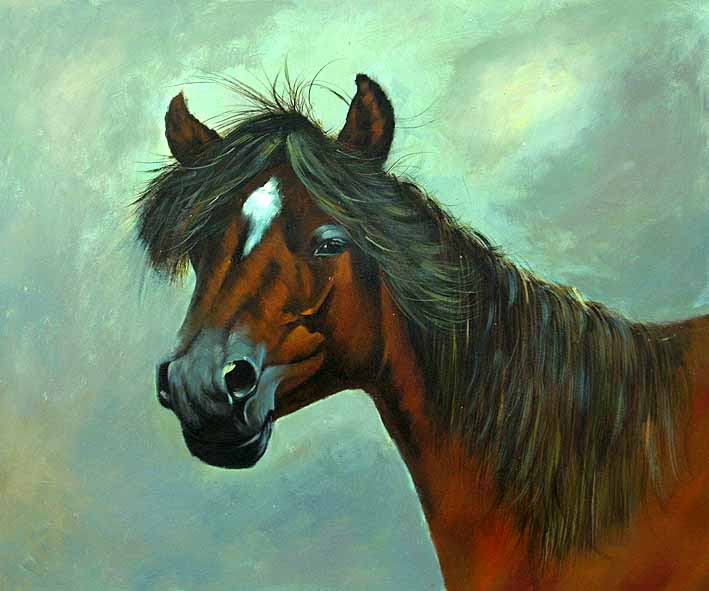 Horse Portrait