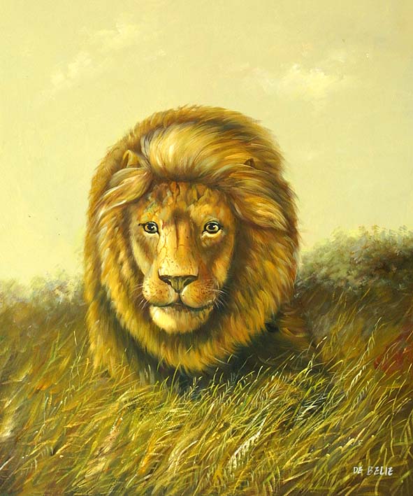 Lion Portrait