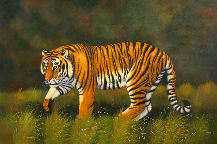 Tiger At The Hunt