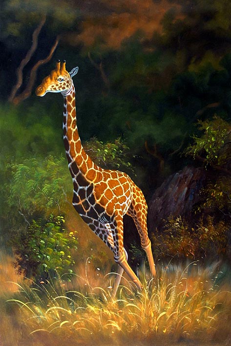 Trotting Giraffe