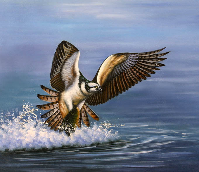 Catching a Meal, I