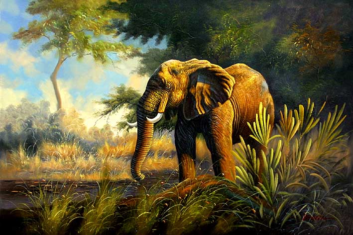 African Elephant