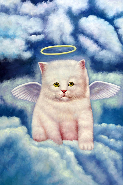 Angelic Kitten