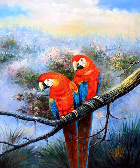 Scarlet Macaws