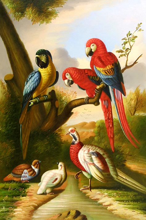 The World of Wings